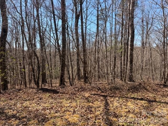 Acreage at Nebo, photo 6 of 10