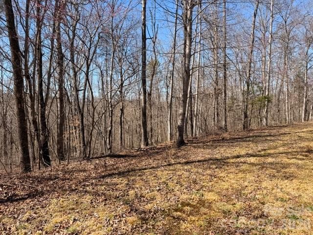 Acreage at Nebo, photo 7 of 10