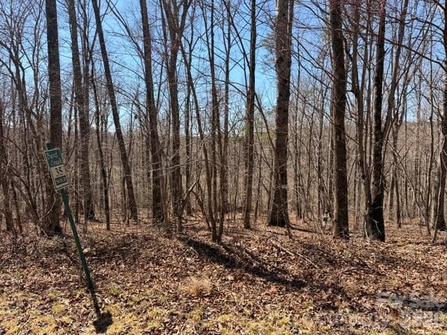 Acreage at Nebo, photo 8 of 10