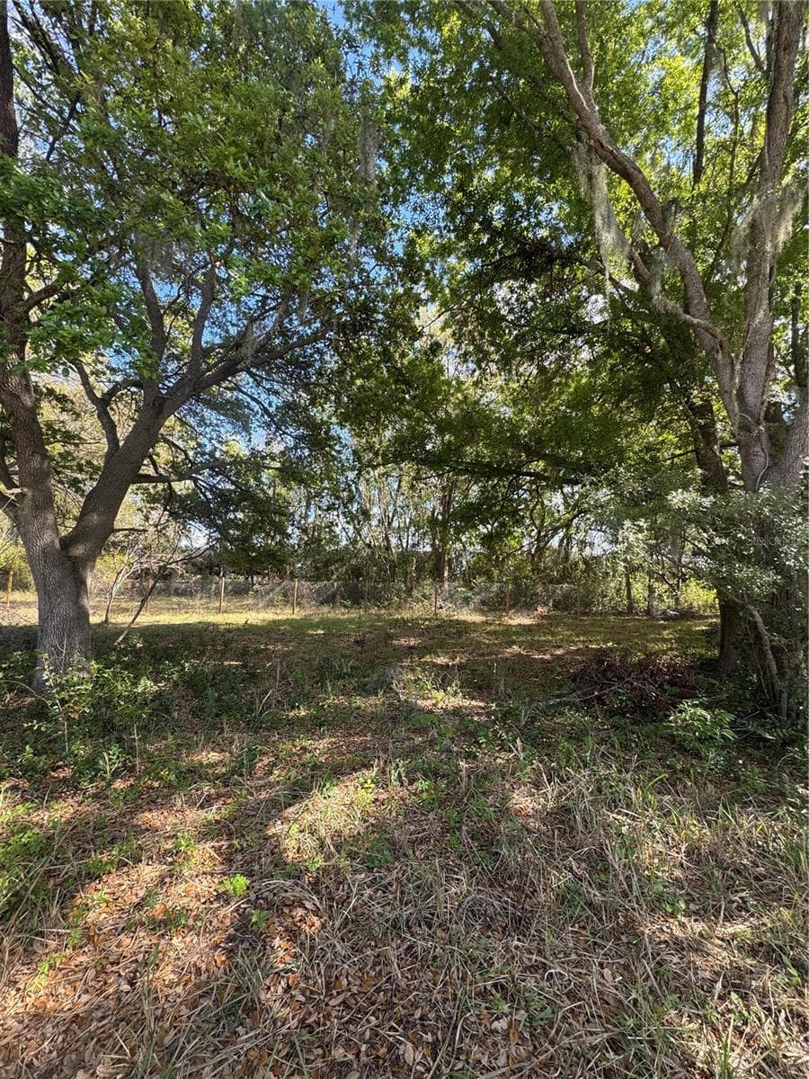 Land at 0 DENMARK ST, BARTOW, photo 3 of 6