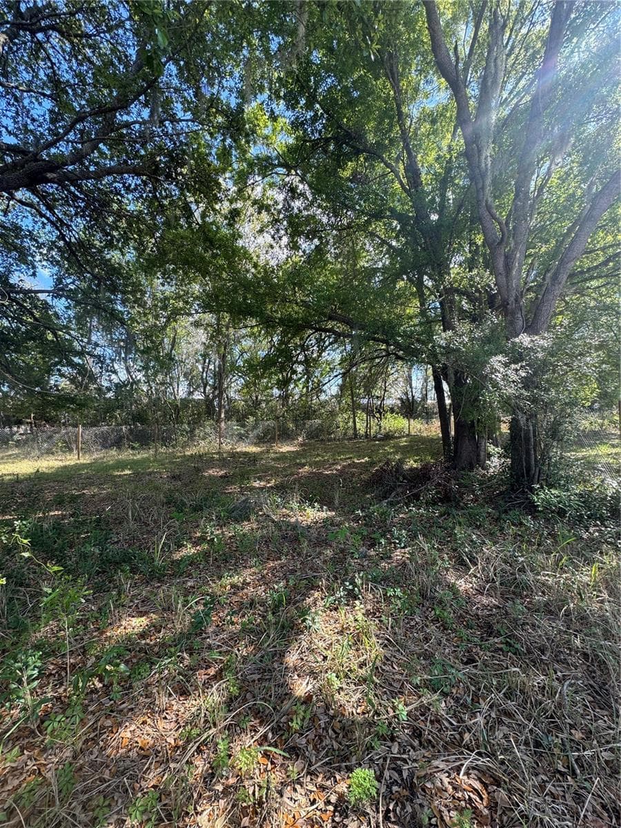 Land at 0 DENMARK ST, BARTOW, photo 4 of 6