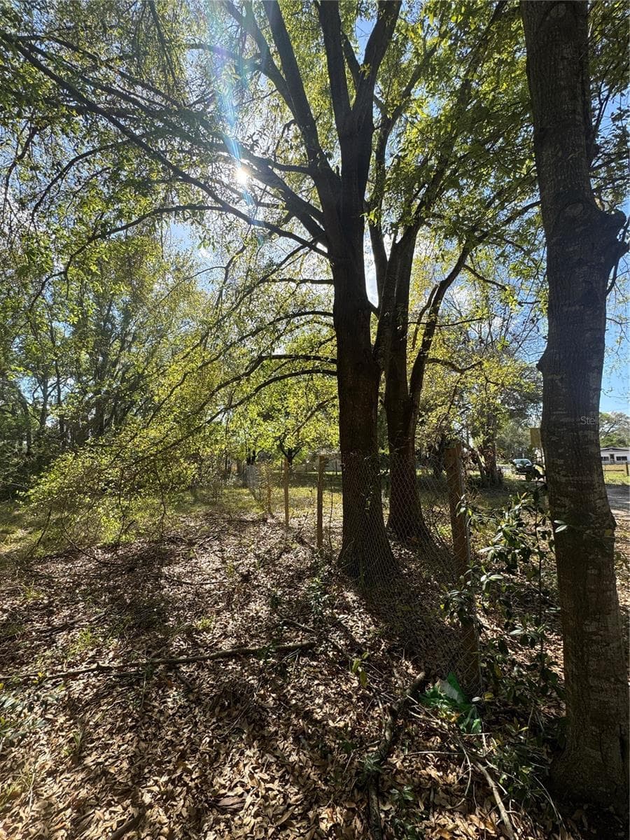 Land at 0 DENMARK ST, BARTOW, photo 6 of 6