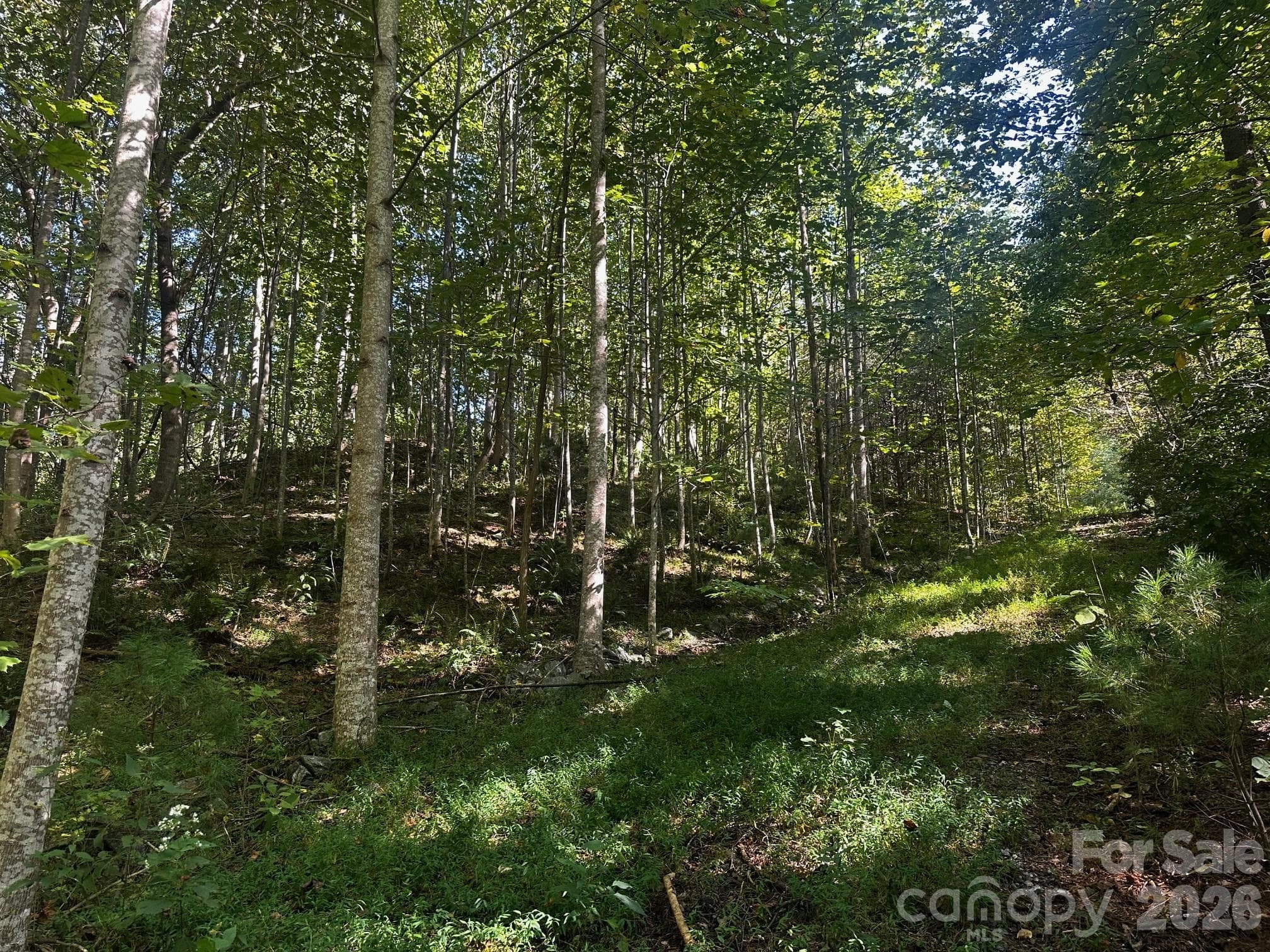 Lot at 0 Clear Creek Trail, Lake Lure, photo 2 of 8