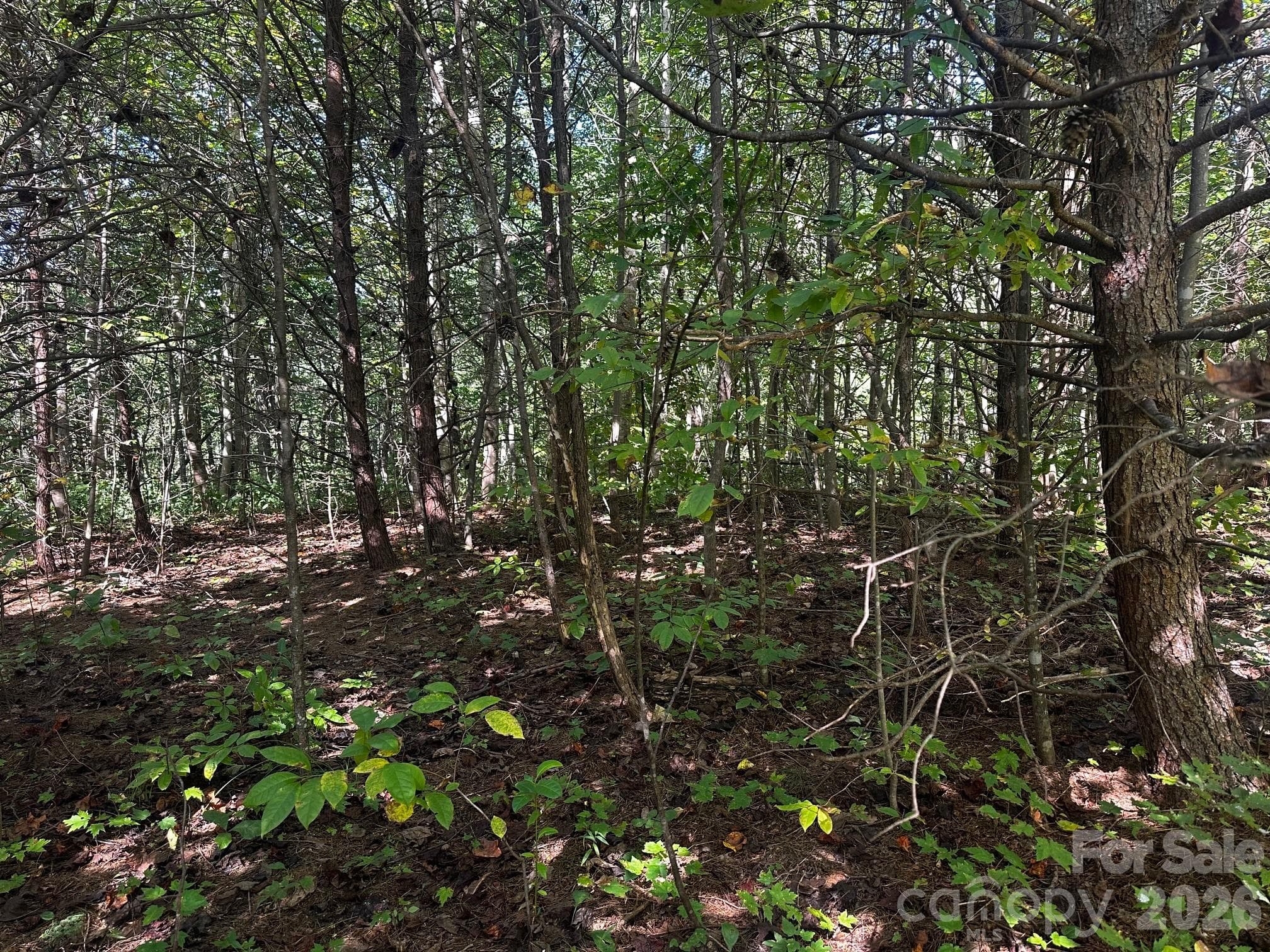Lot at 0 Clear Creek Trail, Lake Lure, photo 3 of 8