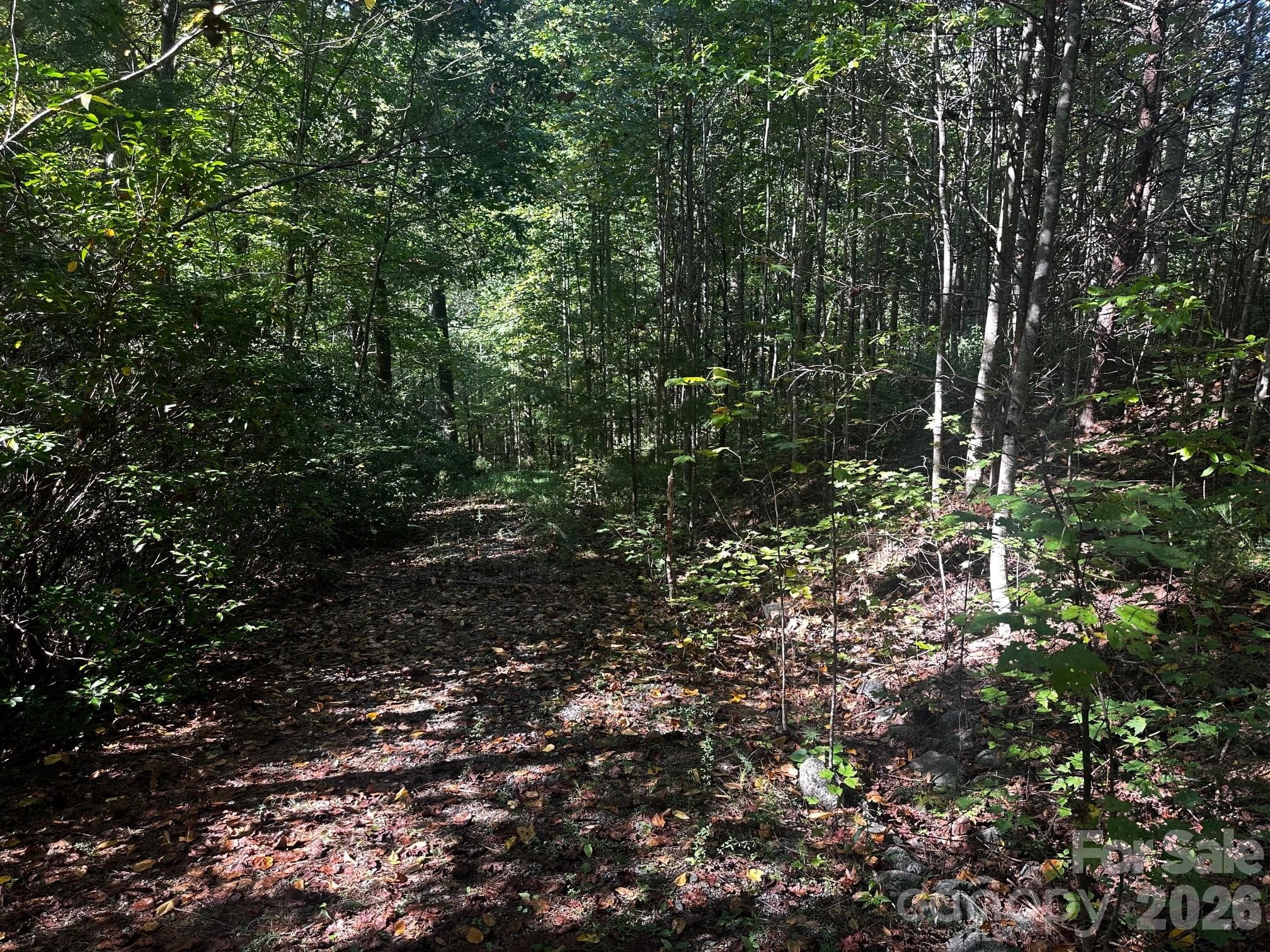 Lot at 0 Clear Creek Trail, Lake Lure, photo 4 of 8