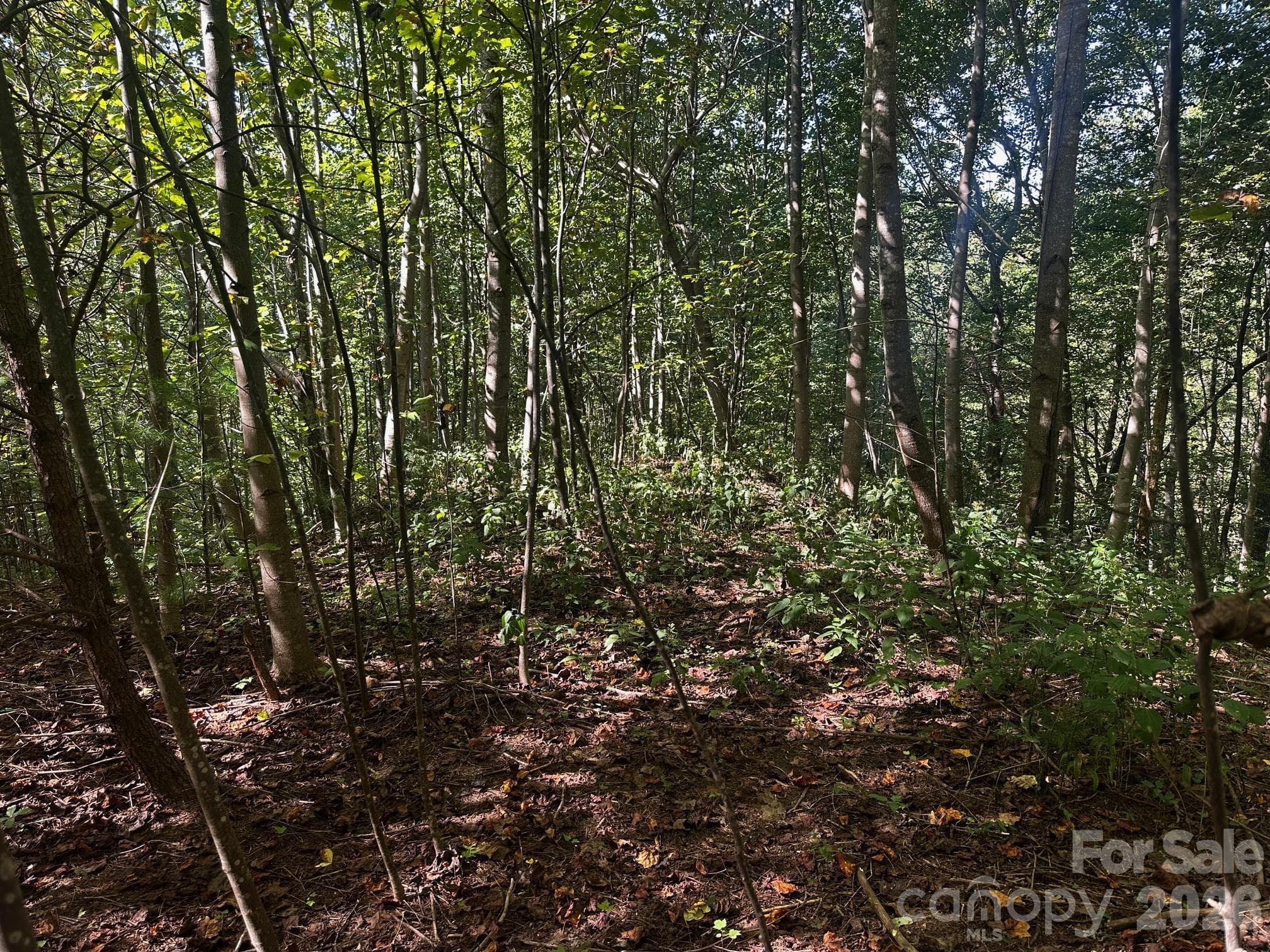 Lot at 0 Clear Creek Trail, Lake Lure, photo 5 of 8