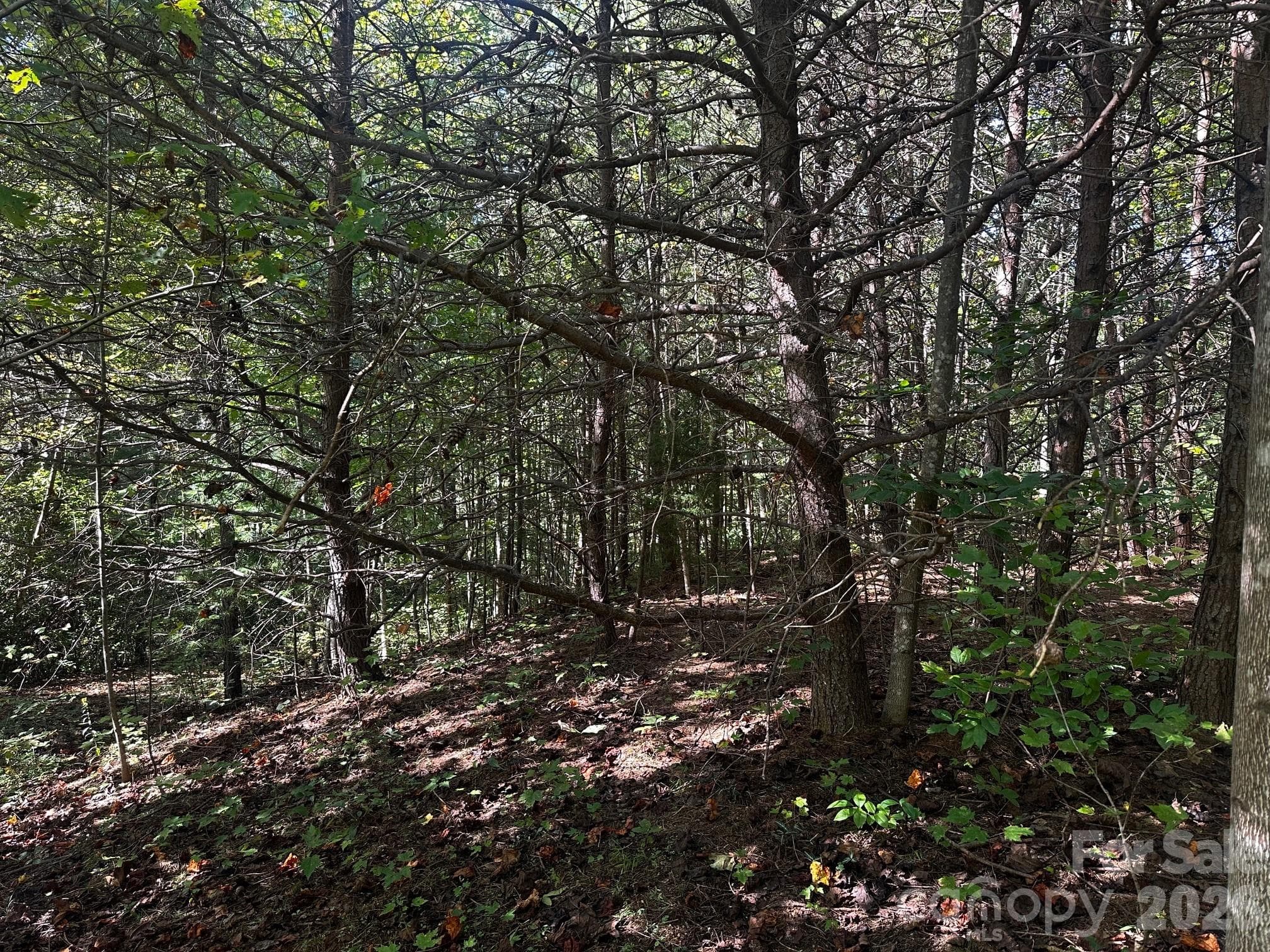 Lot at 0 Clear Creek Trail, Lake Lure, photo 6 of 8