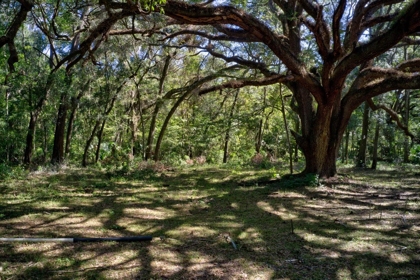 Land at 5005 SW 63RD BLVD, GAINESVILLE, photo 2 of 11