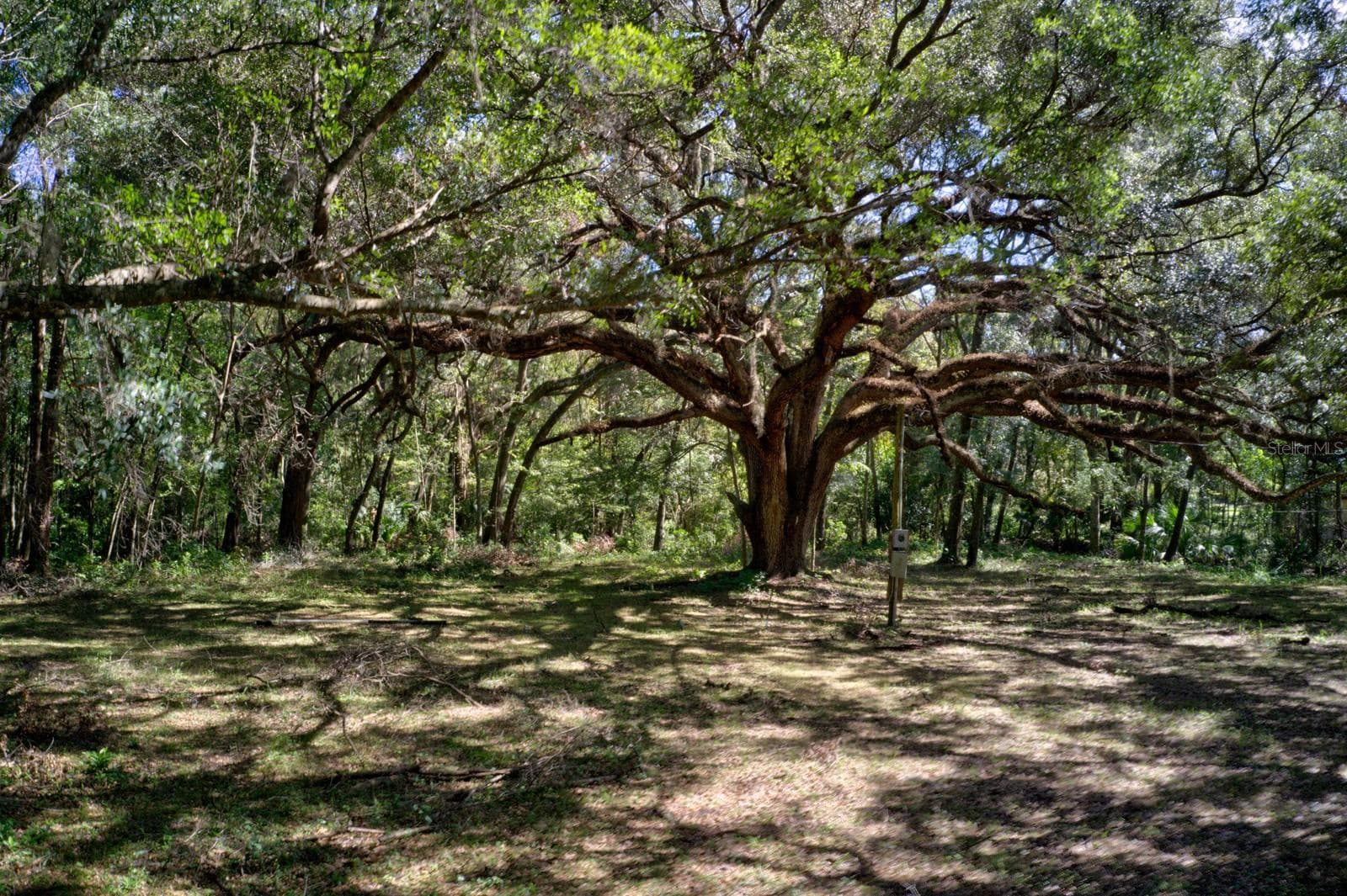 Land at 5005 SW 63RD BLVD, GAINESVILLE, photo 3 of 11