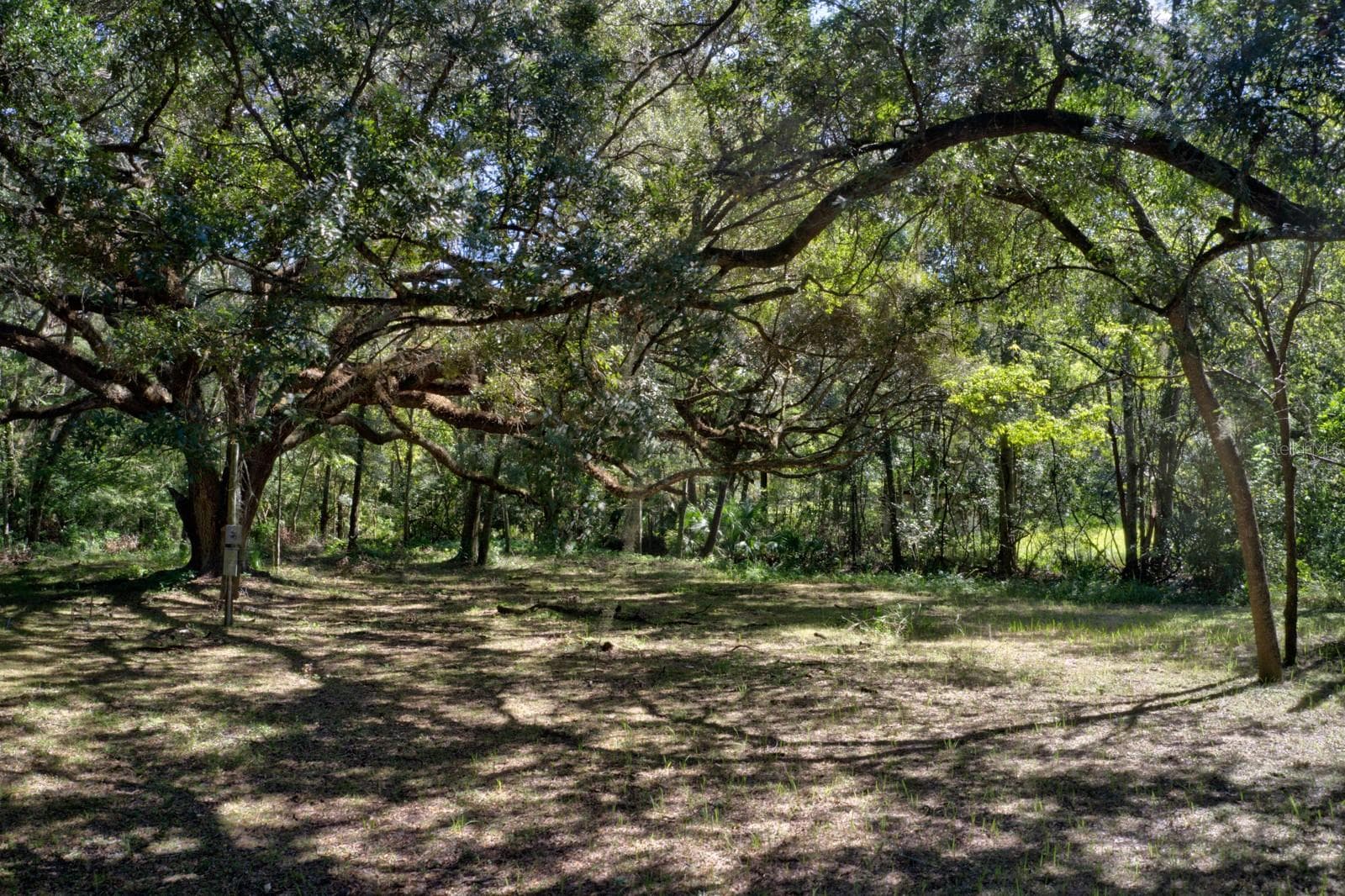 Land at 5005 SW 63RD BLVD, GAINESVILLE, photo 4 of 11