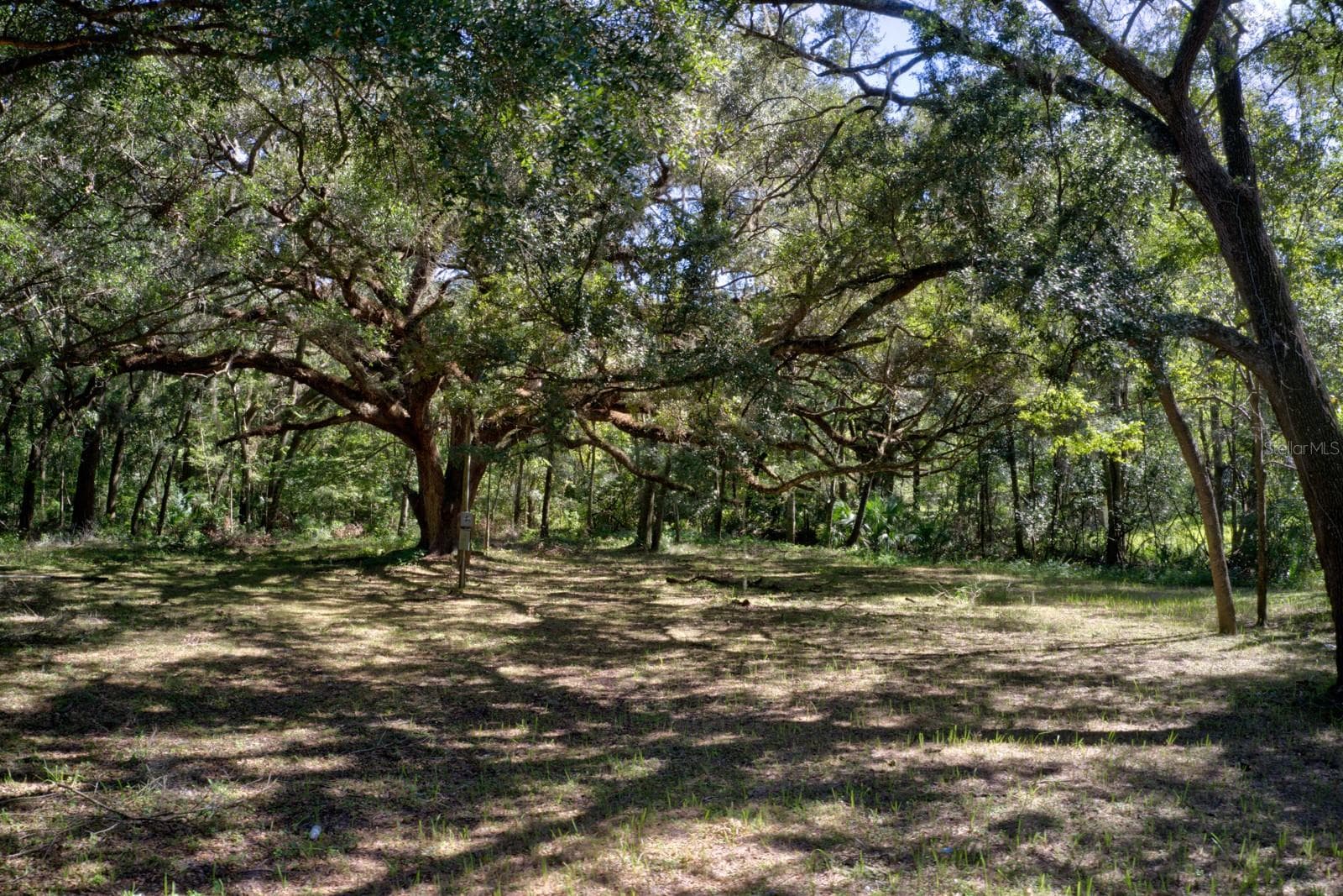 Land at 5005 SW 63RD BLVD, GAINESVILLE, photo 5 of 11