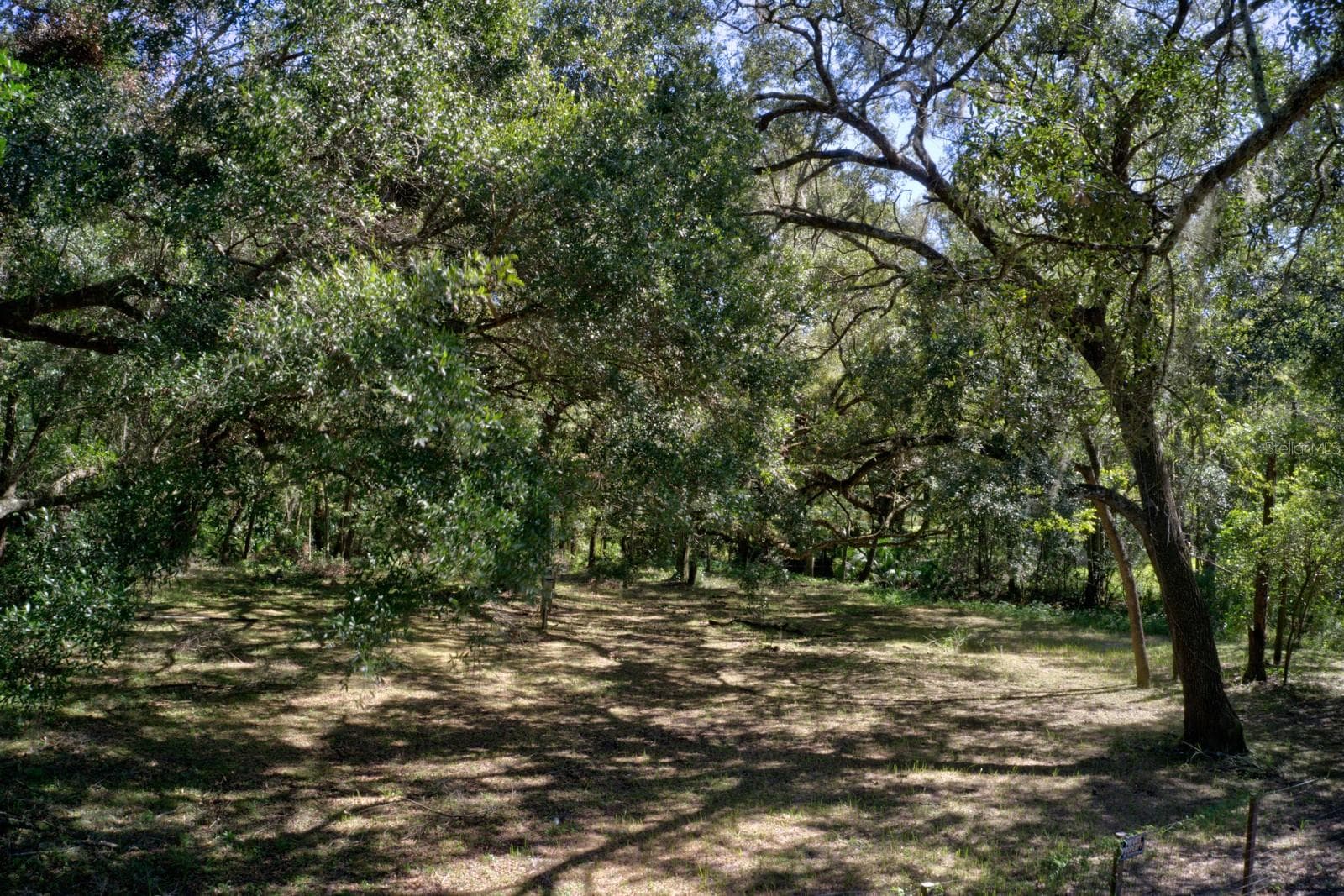 Land at 5005 SW 63RD BLVD, GAINESVILLE, photo 6 of 11