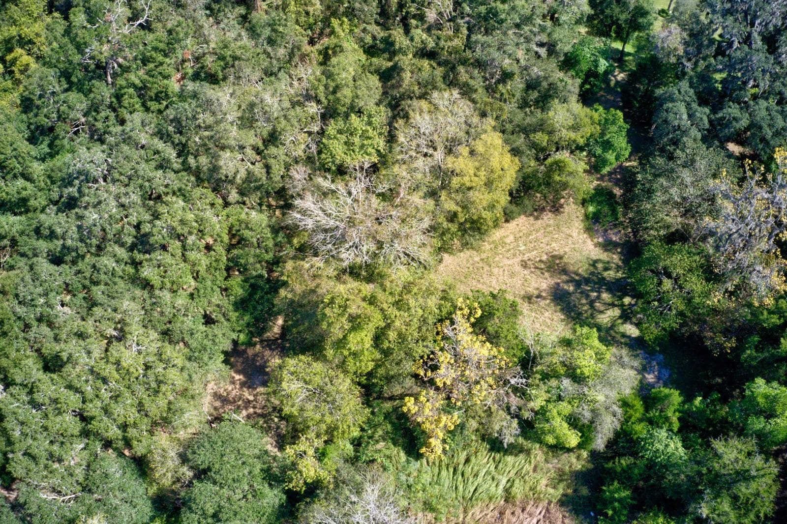 Land at 5005 SW 63RD BLVD, GAINESVILLE, photo 10 of 11