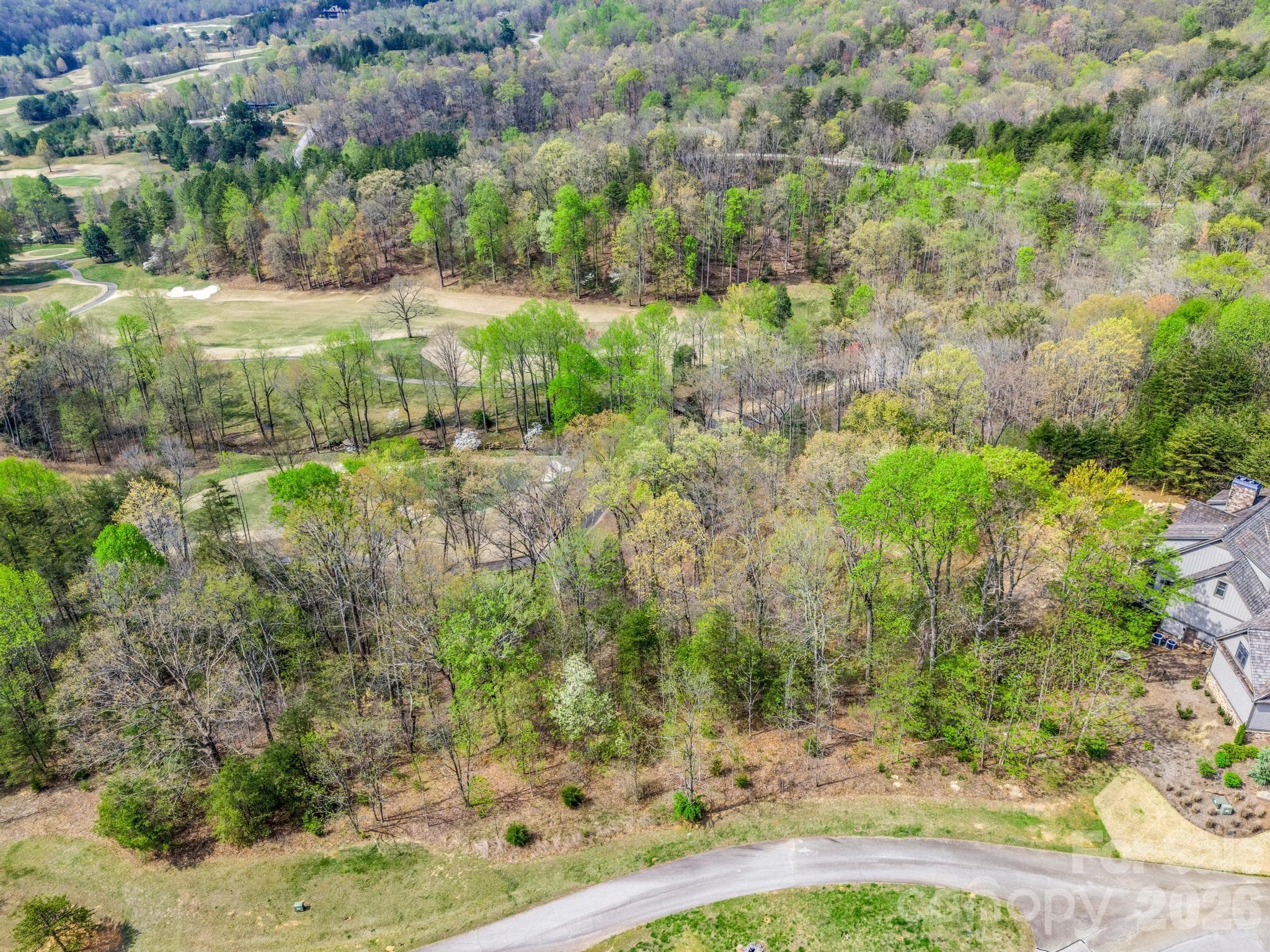 Lot at Mill Spring, photo 6 of 35