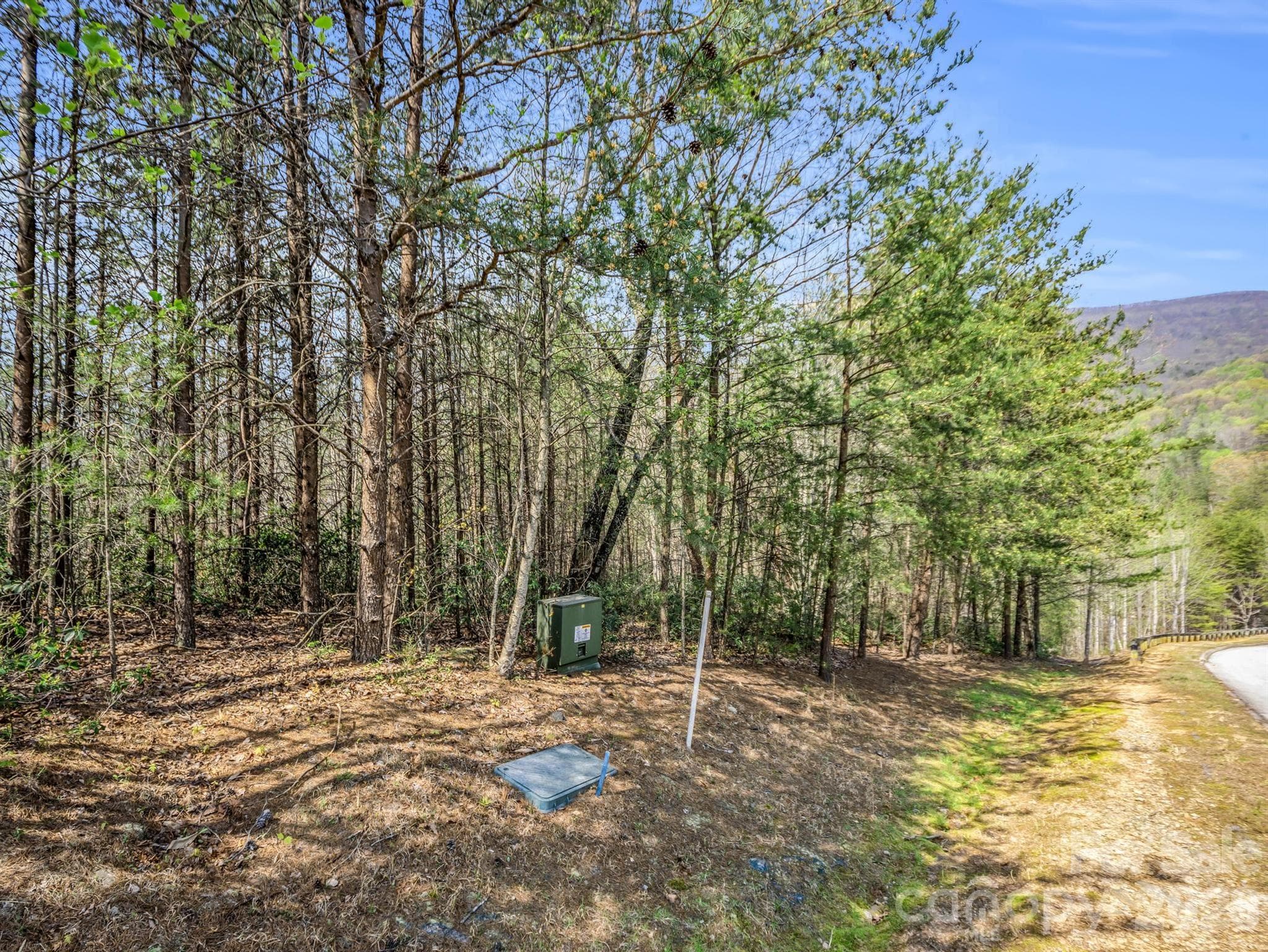 Lot at Mill Spring, photo 10 of 35