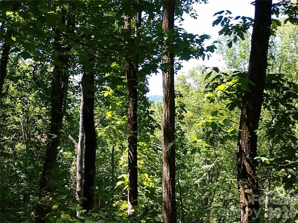 Lot at Waynesville, photo 3 of 17