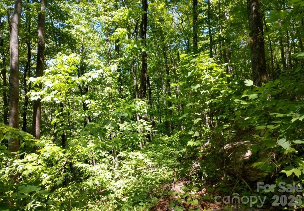 Lot at Waynesville, photo 5 of 17