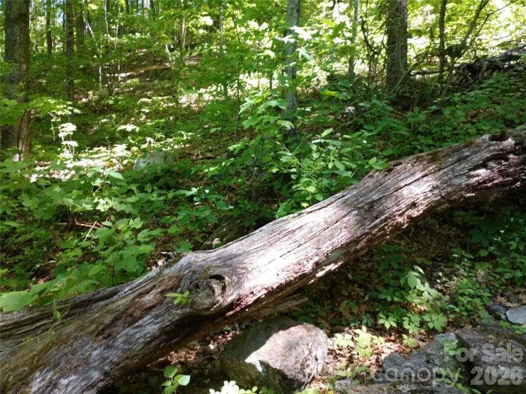 Lot at Waynesville, photo 6 of 17