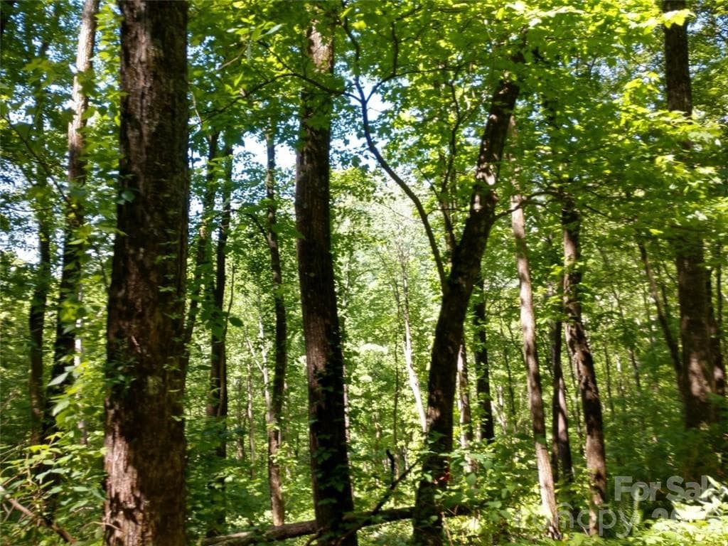Lot at Waynesville, photo 7 of 17
