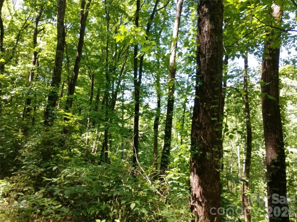 Lot at Waynesville, photo 8 of 17