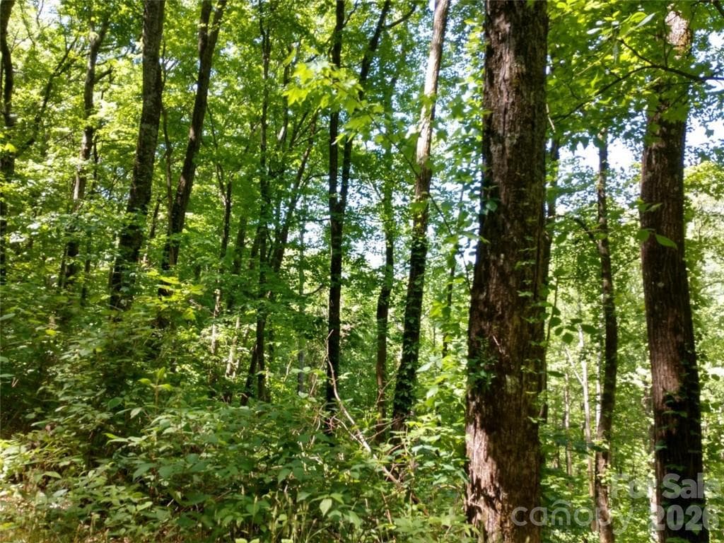 Lot at Waynesville, photo 9 of 17