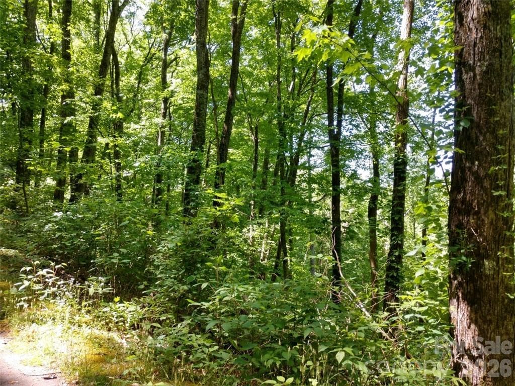 Lot at Waynesville, photo 10 of 17