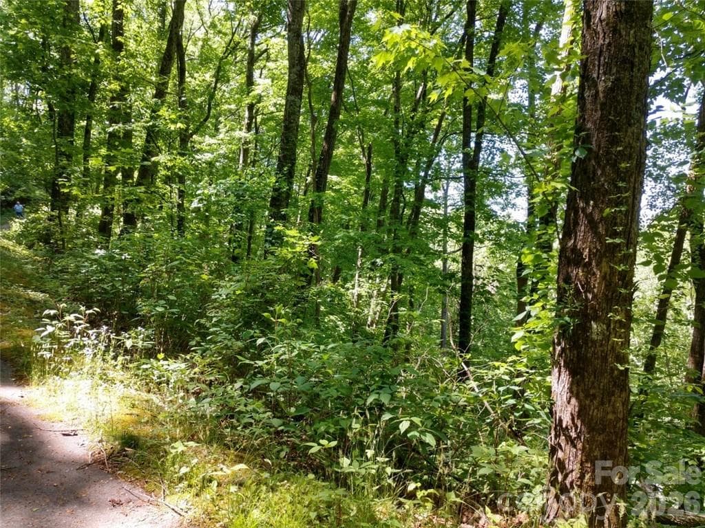 Lot at Waynesville, photo 11 of 17