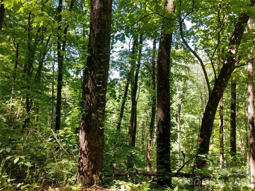 Lot at Waynesville, photo 12 of 17