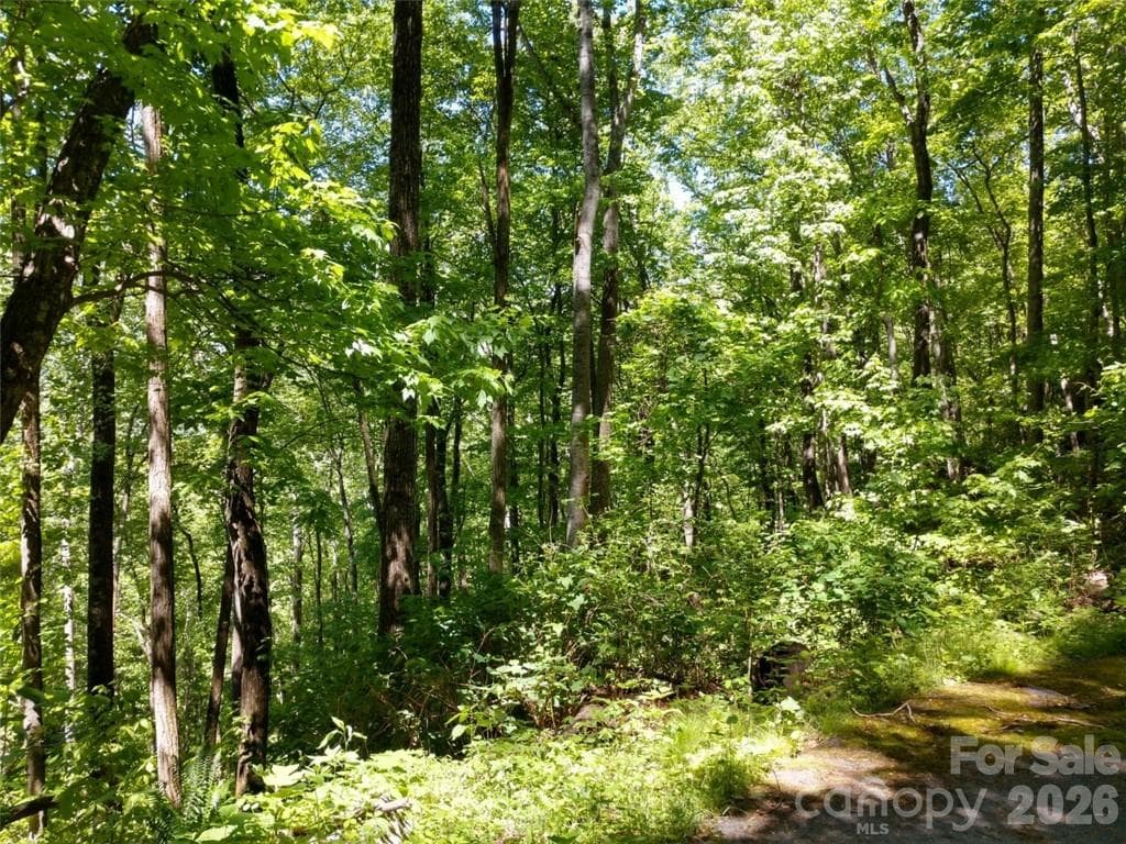 Lot at Waynesville, photo 14 of 17