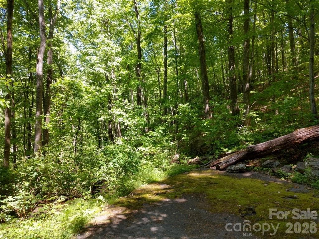 Lot at Waynesville, photo 15 of 17