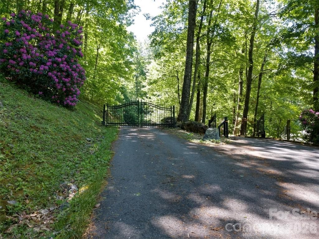 Lot at Waynesville, photo 16 of 17