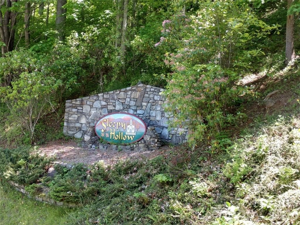 Lot at Waynesville, photo 17 of 17