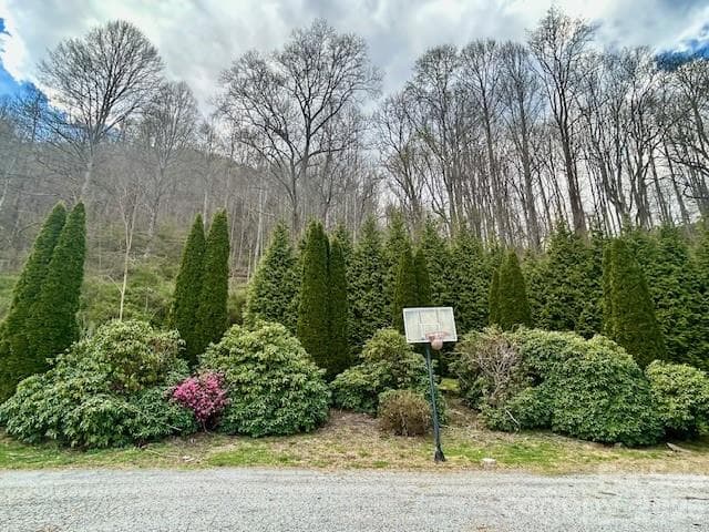 Thoughtful Landscaping - 330 Potts Drive, Waynesville