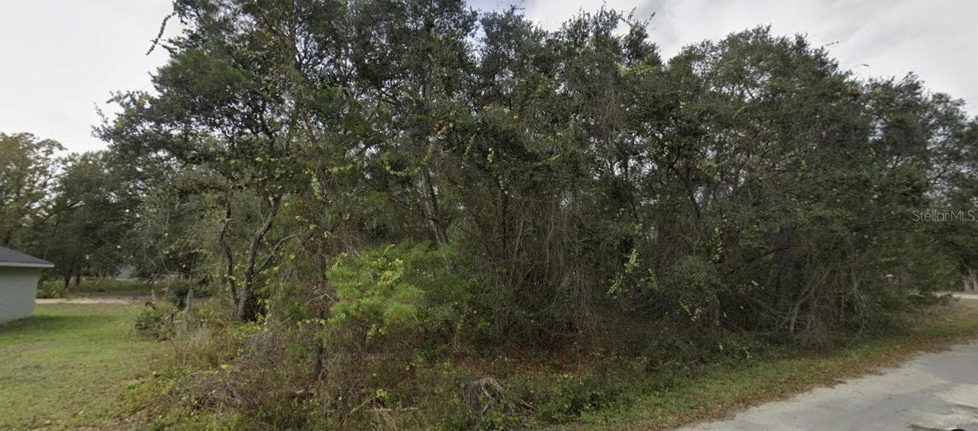 Land at TBD FISHER WAY, OCKLAWAHA, photo 6 of 7