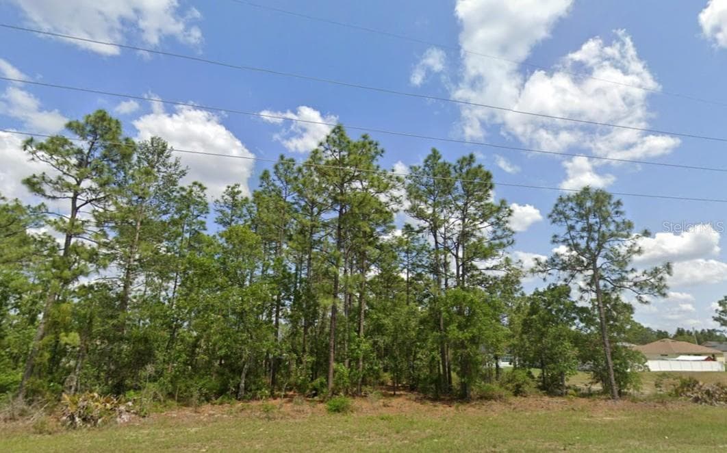 Land at SW 484 HWY #Lot 6, OCALA, photo 2 of 2