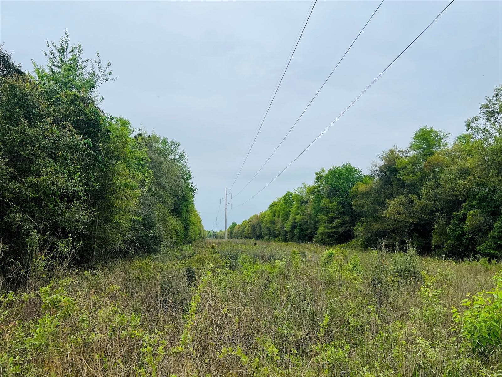 Easement - TBD TOWER RD, BASCOM