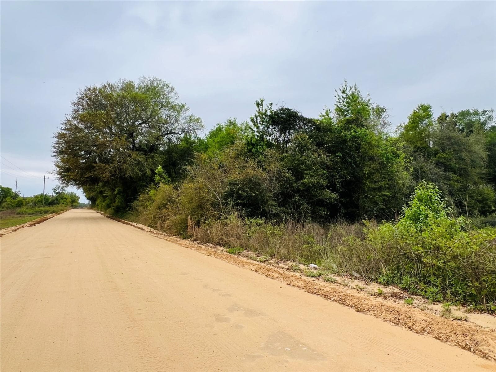 Left side of property - TBD TOWER RD, BASCOM