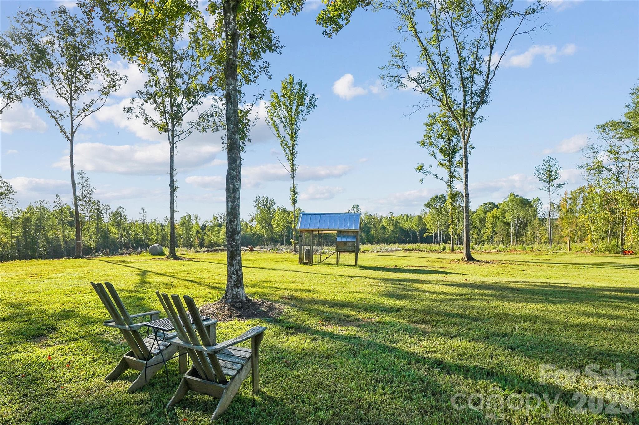 Backyard with fifty acres to explore. - 1904 Canal Road, Catawba