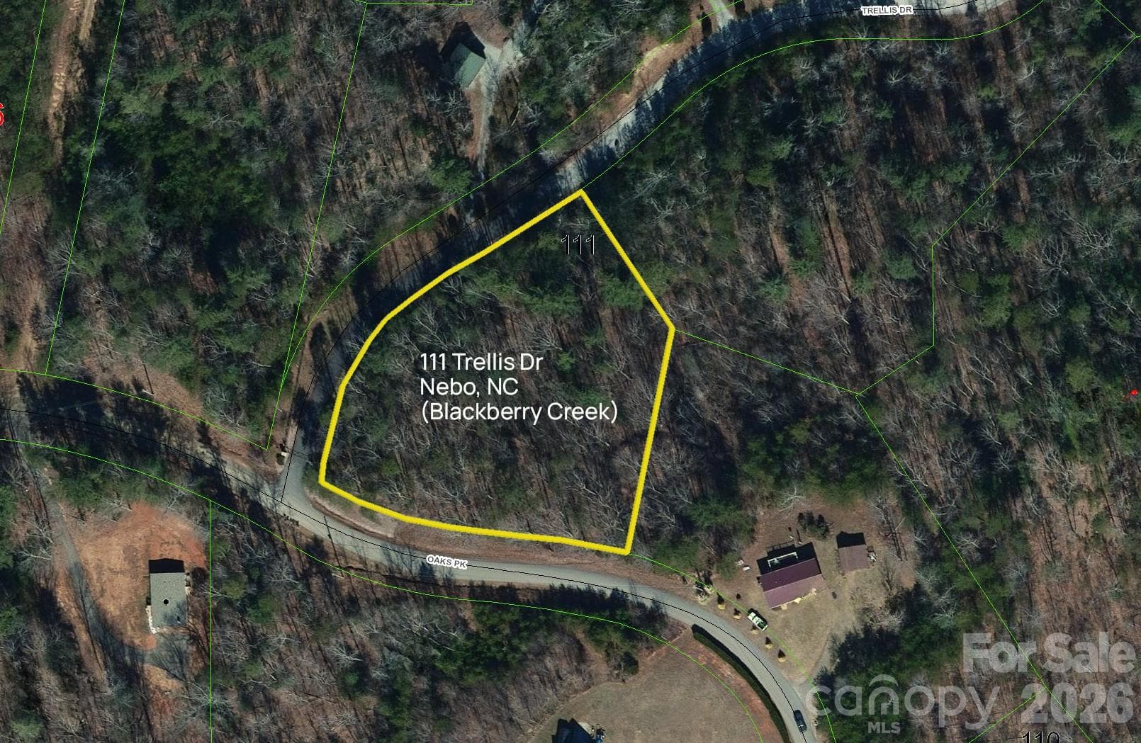 Lot at Nebo, photo 2 of 12