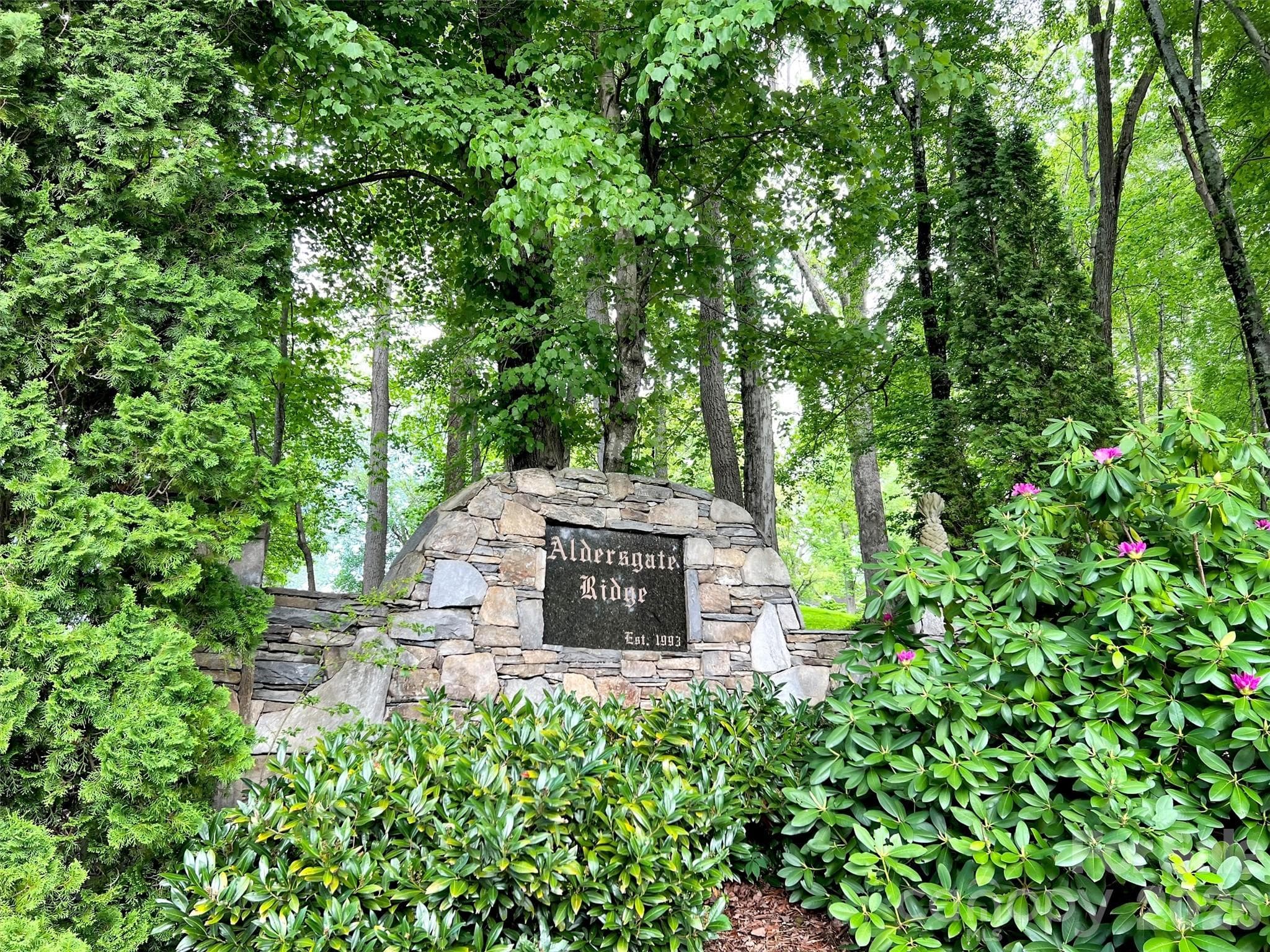 Lot at Waynesville, photo 13 of 14