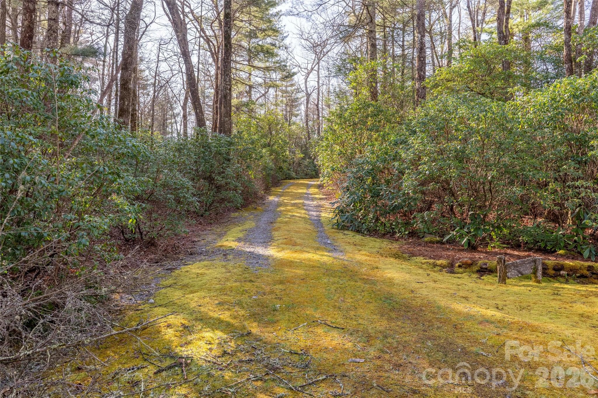 Lot at Lake Toxaway, photo 3 of 13