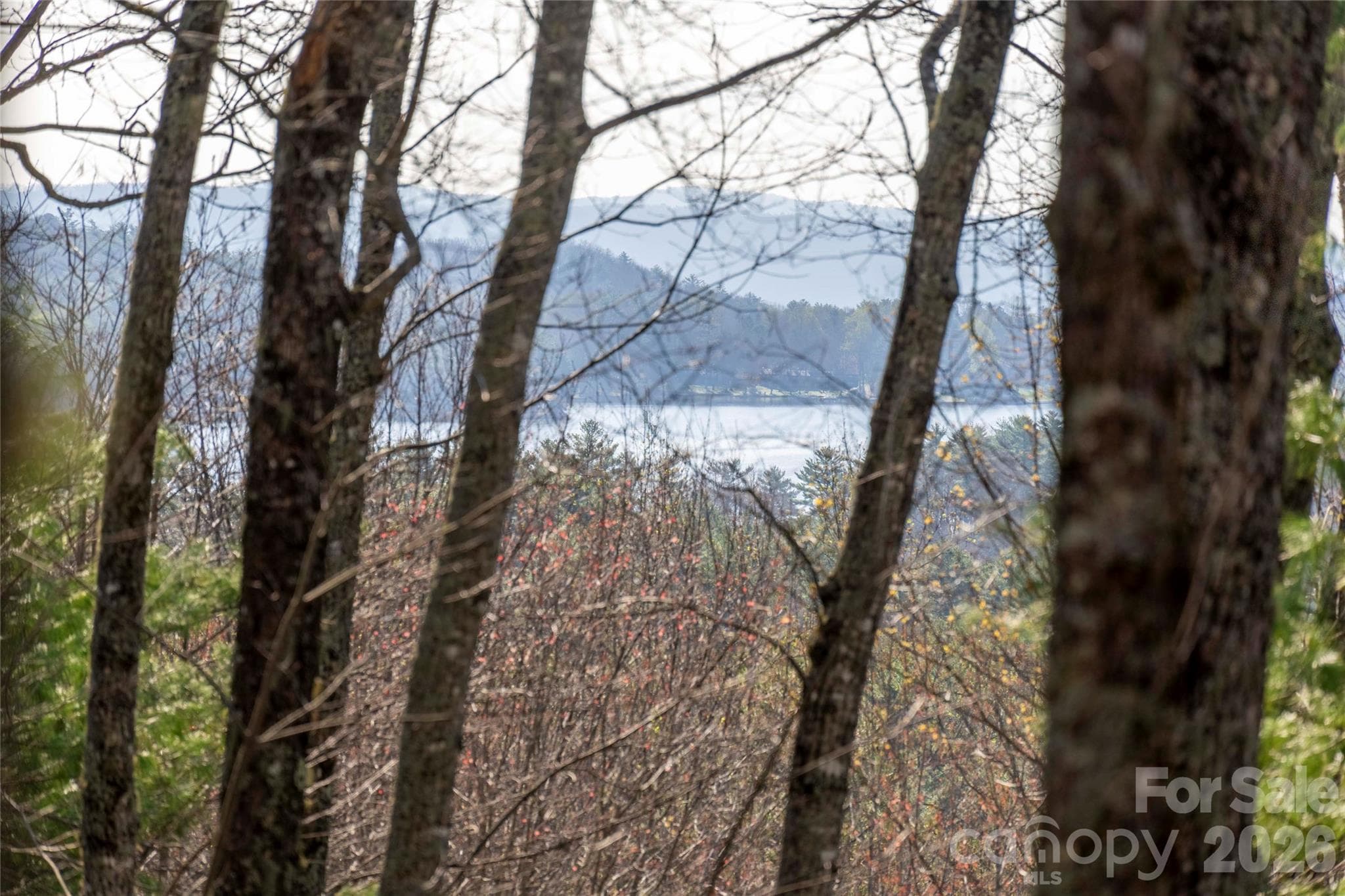 Lot at Lake Toxaway, photo 4 of 13