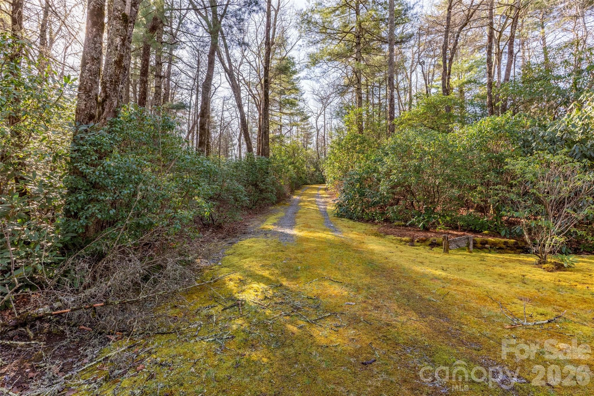 Lot at Lake Toxaway, photo 7 of 13