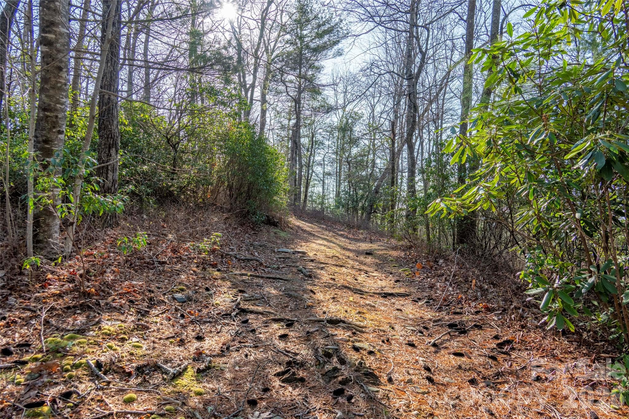 Lot at Lake Toxaway, photo 8 of 13