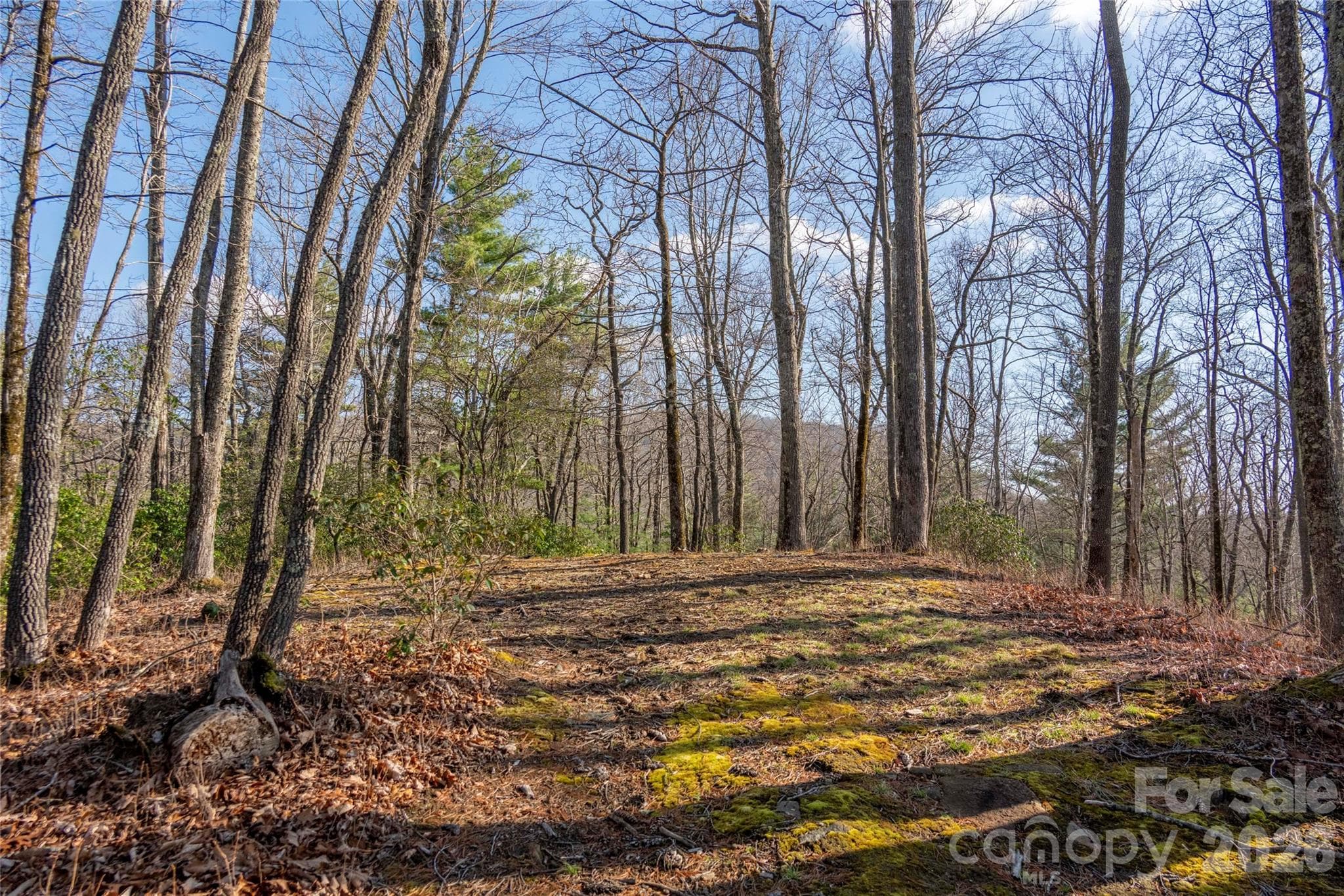Lot at Lake Toxaway, photo 9 of 13