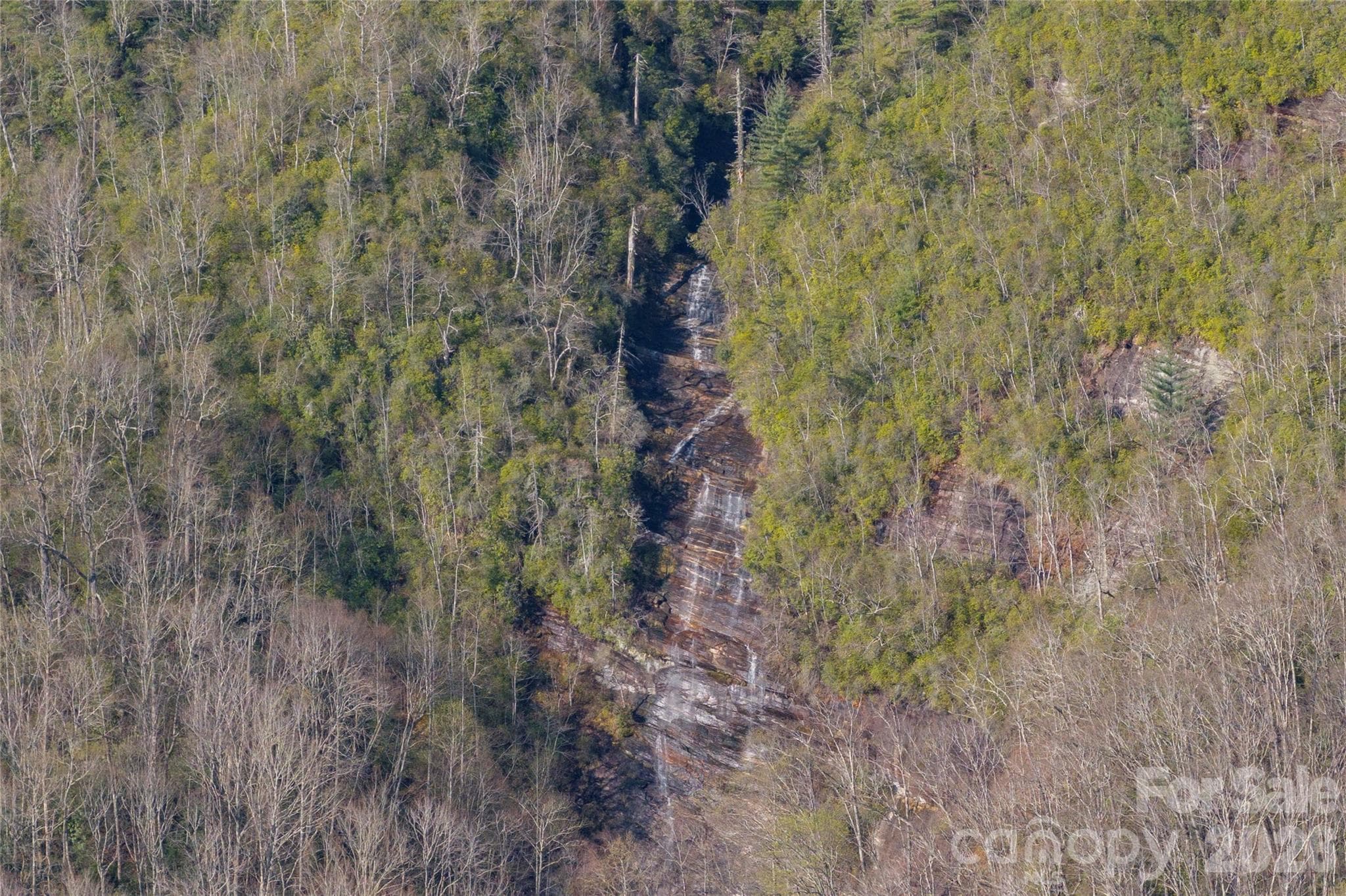 Lot at Lake Toxaway, photo 10 of 13
