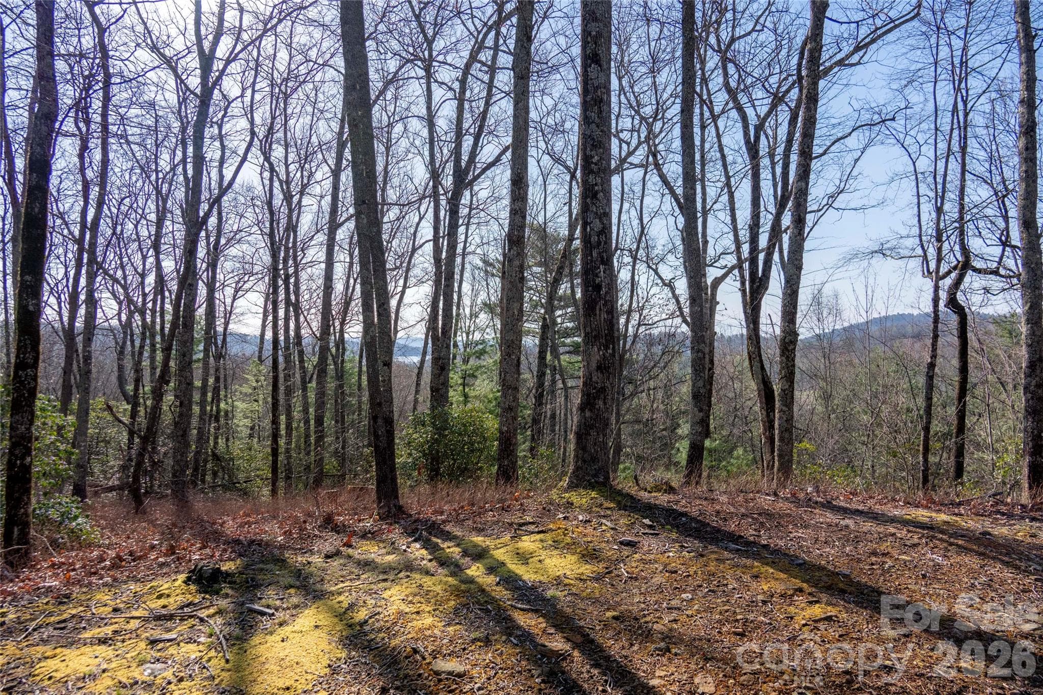 Lot at Lake Toxaway, photo 11 of 13