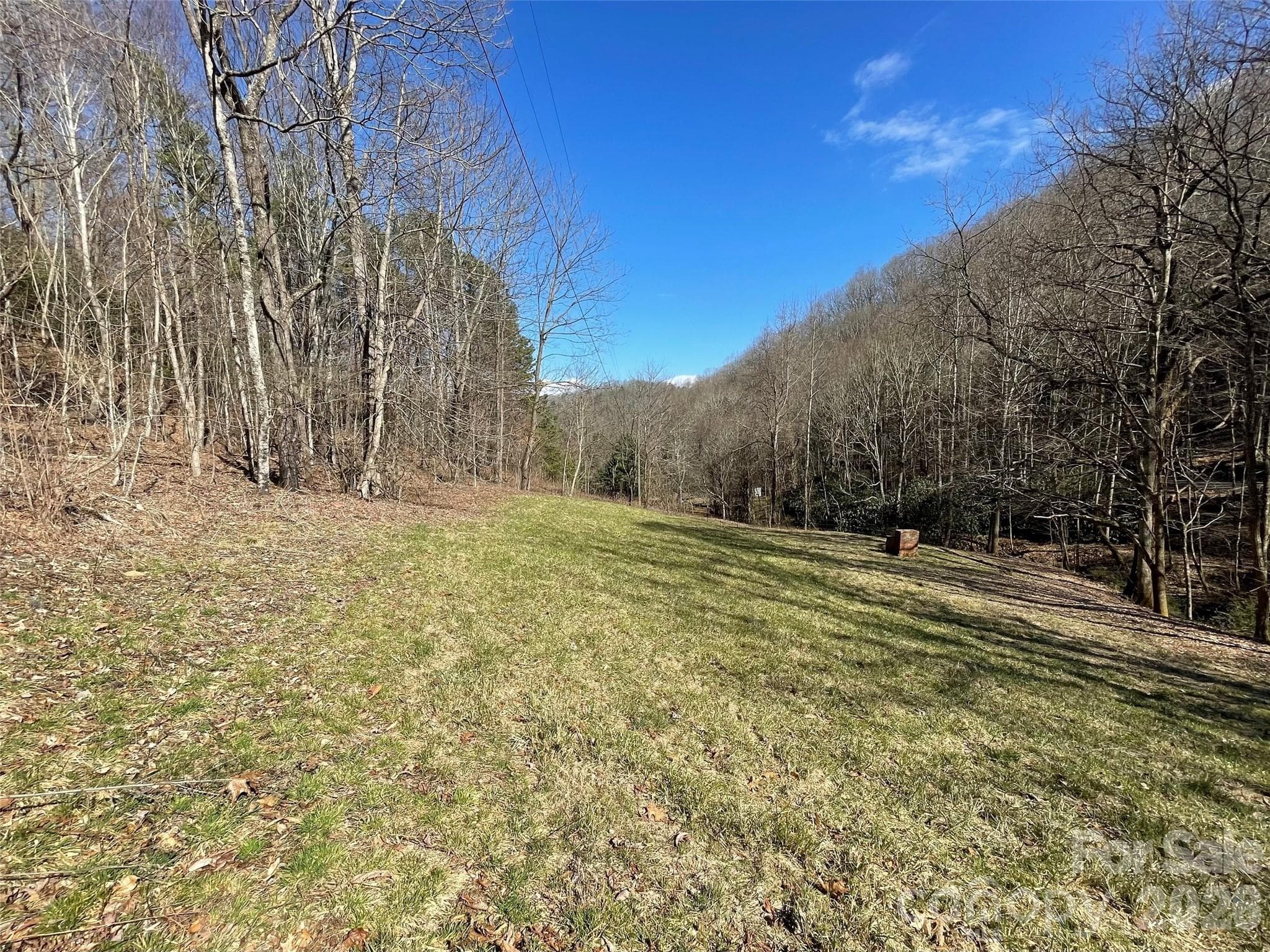 Acreage at 81 Peepeye Cove Road, Leicester, photo 2 of 14