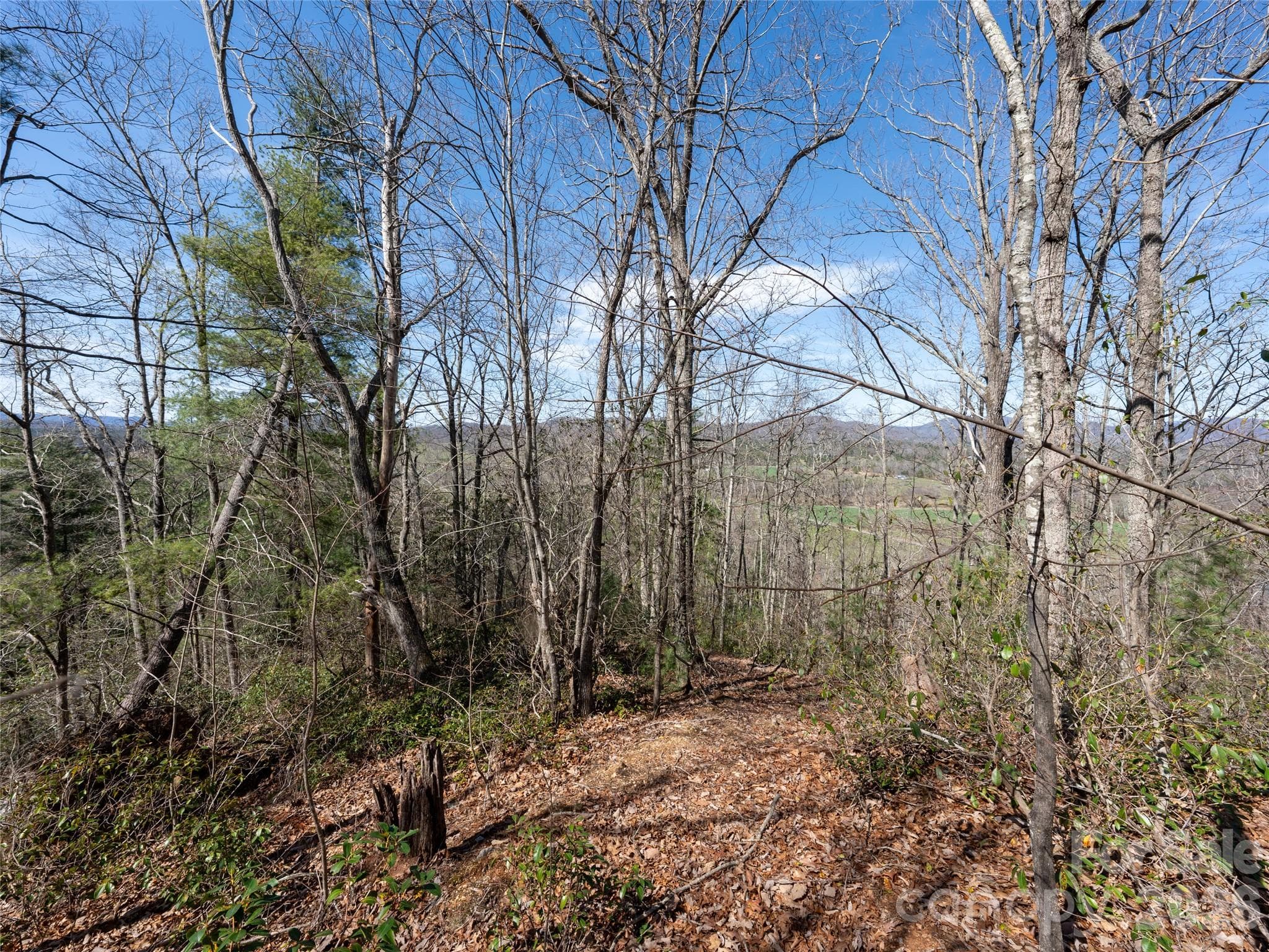 Lot at Fletcher, photo 4 of 22