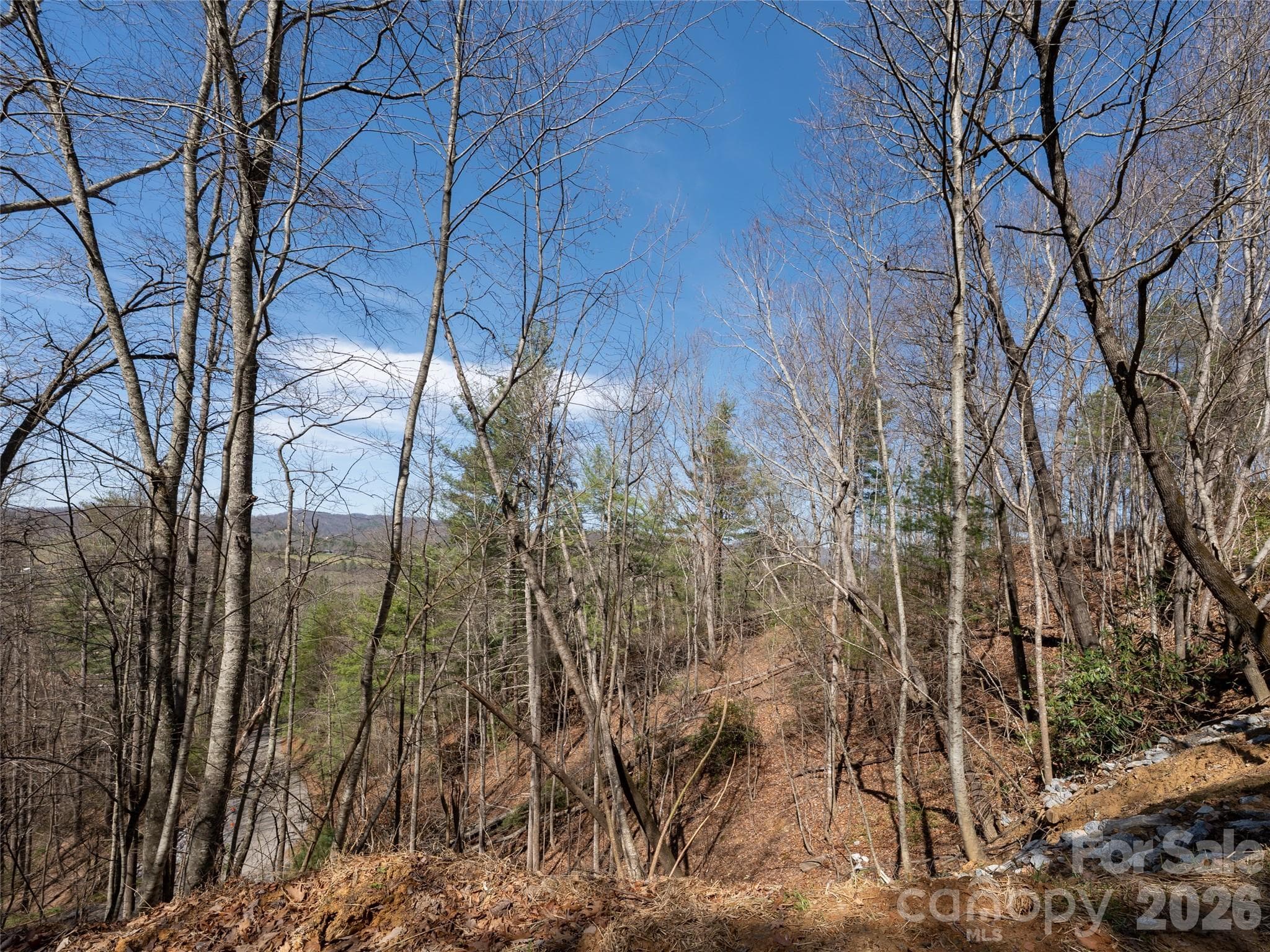 Lot at Fletcher, photo 5 of 22
